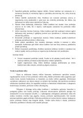 Verslo etikos žinių reikšmė verslo ir inovacijų vadybininkės, vadybininko veiklai 4 puslapis