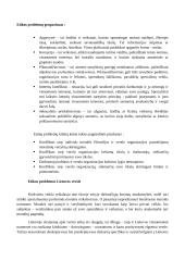 Verslo etikos žinių reikšmė verslo ir inovacijų vadybininkės, vadybininko veiklai 6 puslapis