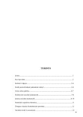 Etika, kultūra ir socialinė atsakomybė 14 puslapis