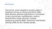 Genų inžinerijos įrankiai 5 puslapis