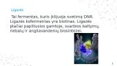 Genų inžinerijos įrankiai 6 puslapis