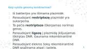 Genų inžinerijos įrankiai 7 puslapis