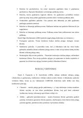 Paskolos 4 puslapis