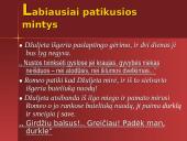V. Šekspyras „Romeo ir Džiuljeta“ knygos pristatymas 8 puslapis