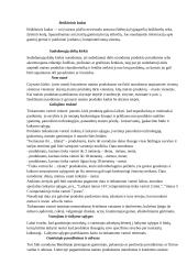 Etiketė - pirkėjo pagalbininkė 2 puslapis