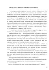 Etikos kodeksas – etinio elgesio vadovas 18 puslapis