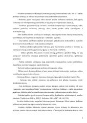 Etikos kodeksas – etinio elgesio vadovas 6 puslapis