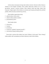 Etikos kodeksas: viešbutis "Svečių namai" 2 puslapis