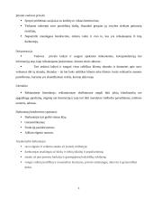 Etikos kodeksas: viešbutis "Svečių namai" 4 puslapis