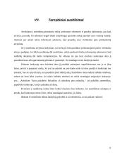 Etiniai reikalavimai kultūrinei institucijai 11 puslapis