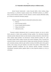 Tarptautinių finansų praktikos ataskaita 12 puslapis