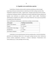 Tarptautinių finansų praktikos ataskaita 15 puslapis