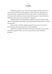 Tarptautinių finansų praktikos ataskaita 16 puslapis