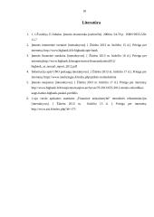 Tarptautinių finansų praktikos ataskaita 17 puslapis