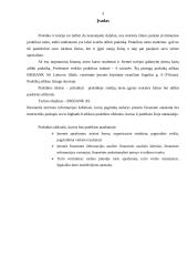 Tarptautinių finansų praktikos ataskaita 2 puslapis