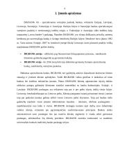 Tarptautinių finansų praktikos ataskaita 3 puslapis