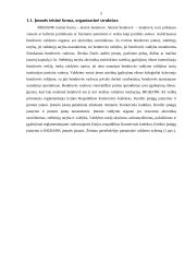 Tarptautinių finansų praktikos ataskaita 4 puslapis