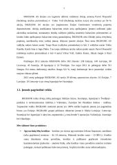 Tarptautinių finansų praktikos ataskaita 6 puslapis