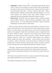 Tarptautinių finansų praktikos ataskaita 7 puslapis