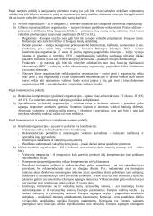 Tarptautinė viešoji teisė (konspektas) 12 puslapis