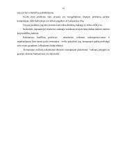 Etinės problemos ir konfliktai 17 puslapis