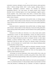 Etinės problemos ir konfliktai 6 puslapis