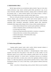 Etinės problemos ir konfliktai 8 puslapis