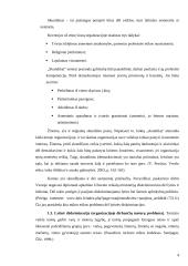 Etinės problemos rekreacijoje ir turizme 4 puslapis