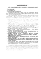 Etinių problemų sprendimas įmonėje 2 puslapis