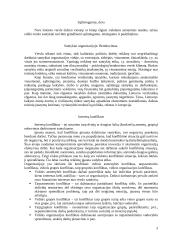 Etinių problemų sprendimas įmonėje 3 puslapis