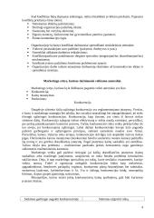 Etinių problemų sprendimas įmonėje 4 puslapis