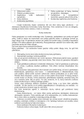 Etinių problemų sprendimas įmonėje 5 puslapis