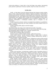 Etinių problemų sprendimas įmonėje 9 puslapis