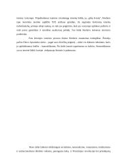 Etninių tautų Europos ir politinių tautų Europos pagrindimai: Herderis ir Ruso 2 puslapis