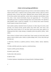 Kaimo turizmo plėtros tendencijos Lietuvoje (referatas) 4 puslapis