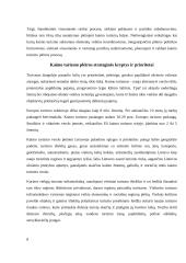 Kaimo turizmo plėtros tendencijos Lietuvoje (referatas) 8 puslapis