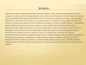 Religijos šiuolaikiniame pasaulyje 20 puslapis