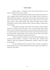 Europeizmas 11 puslapis