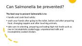 What is salmonellosis? 13 puslapis
