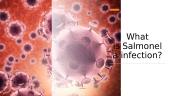 What is salmonellosis? 4 puslapis