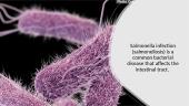 What is salmonellosis? 5 puslapis