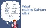 What is salmonellosis? 6 puslapis