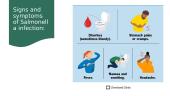 What is salmonellosis? 8 puslapis