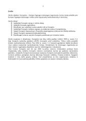 Europolas – Europos Sąjungos (ES) teisėsaugos organizacija 3 puslapis