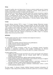 Europolas – Europos Sąjungos (ES) teisėsaugos organizacija 4 puslapis