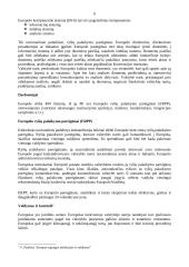 Europolas – Europos Sąjungos (ES) teisėsaugos organizacija 6 puslapis