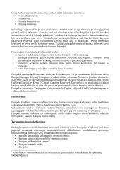 Europolas – Europos Sąjungos (ES) teisėsaugos organizacija 7 puslapis