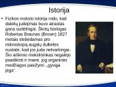 Difuzija, molekulių stūma ir trauka 3 puslapis