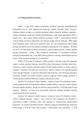 Europos centrinio banko (ECB) pinigų politikos bei atliekamų operacijų apžvalga ir vertinimas 13 puslapis