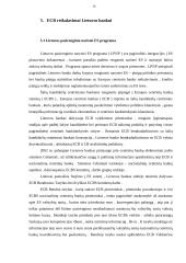 Europos centrinio banko (ECB) pinigų politikos bei atliekamų operacijų apžvalga ir vertinimas 17 puslapis